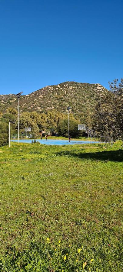 Villa Panoramica Tra Suggestive Notti Stellate. Torre delle Stelle Kültér fotó